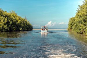 Puerto Rico River boat beach excursion