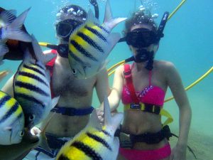 snuba diving excursion puerto rico