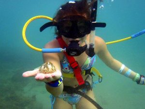 snuba diving excursion puerto rico