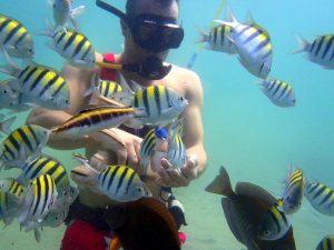 snuba diving excursion puerto rico