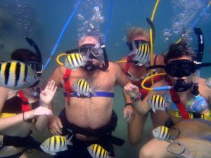 snuba diving excursion puerto rico