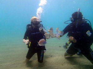san juan discover scuba excursion