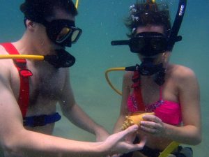 snuba diving excursion puerto rico