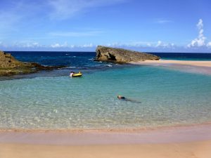 Arecio Island tour MAIN