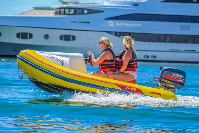 philipsburg st maarten rhino tours